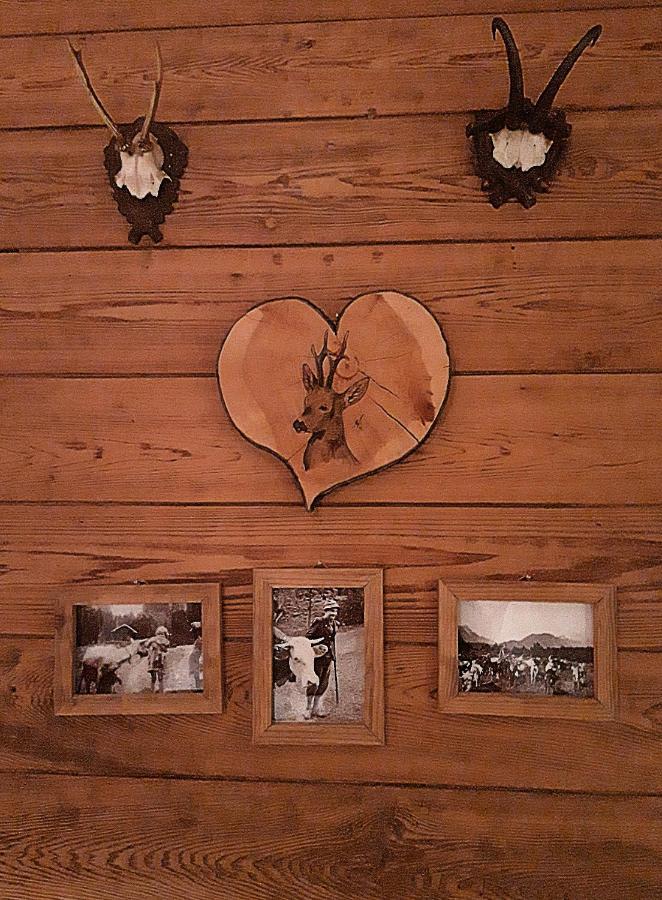Berggasthof Karntner Alm Hotel Mittenwald Exterior foto